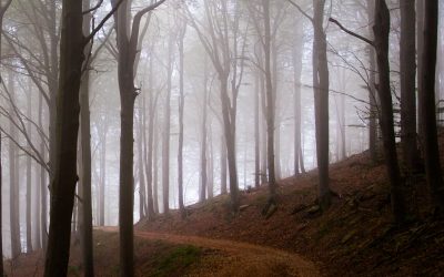 La leggenda di Aleramo: il Monferrato e la nascita della dinastia degli Aleramici